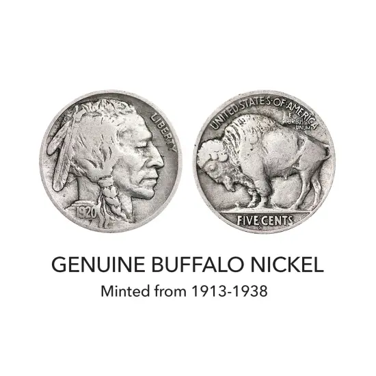Complete 1920's Buffalo Nickel Collection {3}