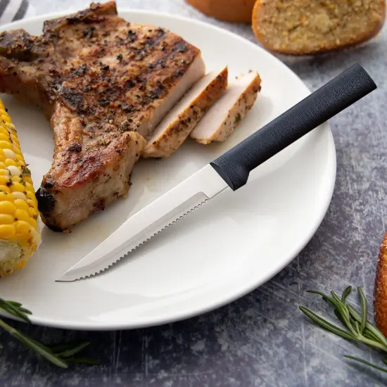 Rada Cutlery Serrated Steak Knife, Stainless Steel Knives for Effortlessly Cutting Meat, with Durable Resin Handle {7}