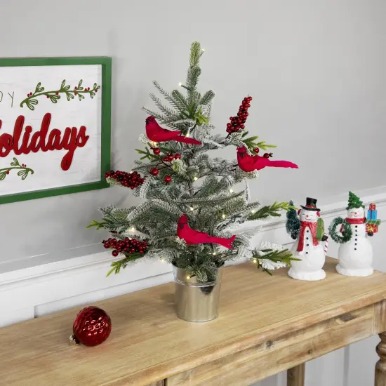 Northlight Pre-Lit LED Frosted Mixed Pine with Cardinals Potted Christmas Tree - 2' - Warm White Lights Green {3}