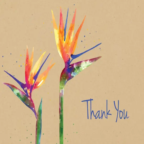 Great Papers! Faux Kraft Thank You Note Card and Envelope, Paradise, 4.75" x 3.375"(folded), 50 count {2}