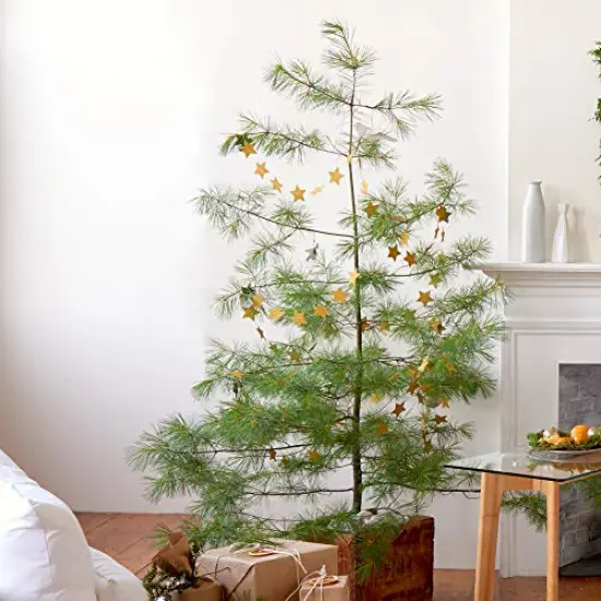 Christmas Tree Large Glass Apothecary Jar Scented Candle, (26oz), Green {3}