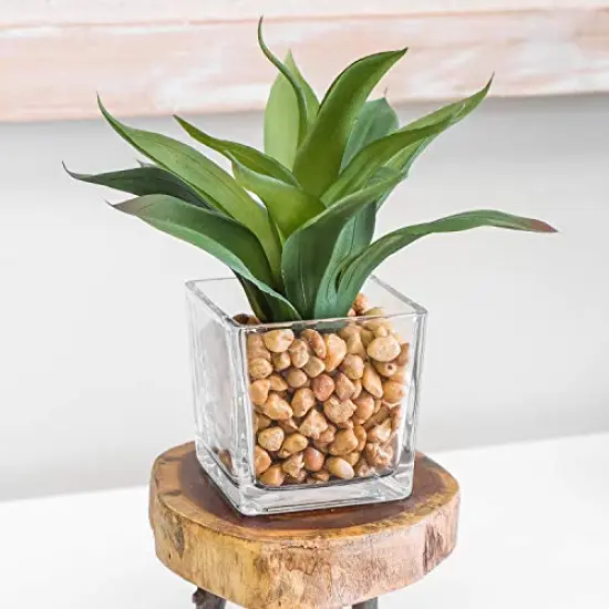 2 Pieces Square Glass Vase Clear Flower Decorative Centerpiece for Home or Wedding, Candle Holder, 5 x 5, {3}