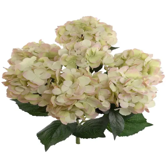 Green & Pink Hydrangea Bush, 20-Inch, 7 Silk Blooms & Foliage, UV Resistant, Floral Bush, Floral Home by Artificial Flowers {1}