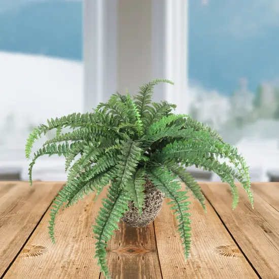 6-Pack: Boston Fern Plant with 48 Silk Fronds, 48" Wide, Faux Greenery, Floral Home by Artificial Flowers {3}