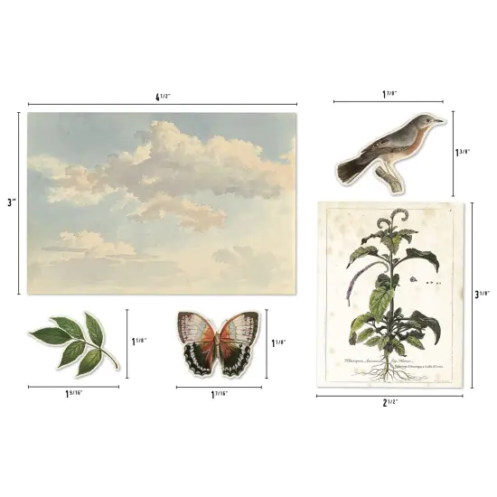 Idea-Ology Layers Die-Cuts 45/Pkg-Organic {4}