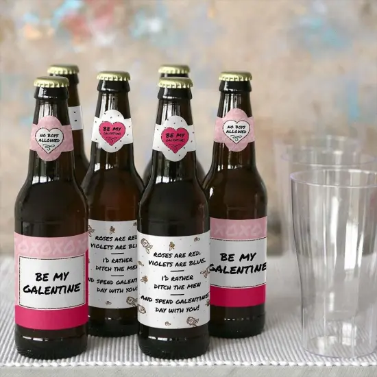 Big Dot of Happiness Be My Galentine - Valentine's Day Decorations for Women and Men - 6 Beer Bottle Label Stickers and 1 Carrier {6}