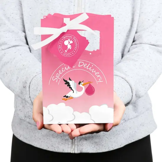Big Dot of Happiness Girl Special Delivery - Pink It's a Girl Stork Baby Shower Favor Boxes - Set of 12 {6}