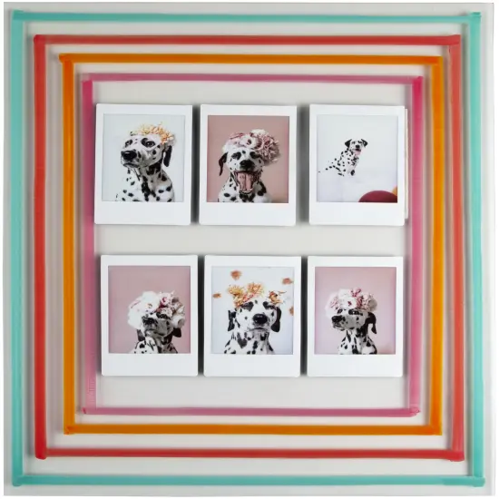 Aleene's Stick & Restick Adhesive Carded-4oz {4}