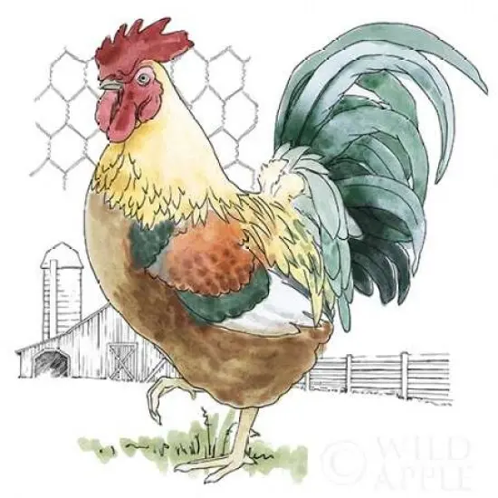 Fun at the Coop V Poster Print byBeth Grove - Item # VARPDX24221 {2}