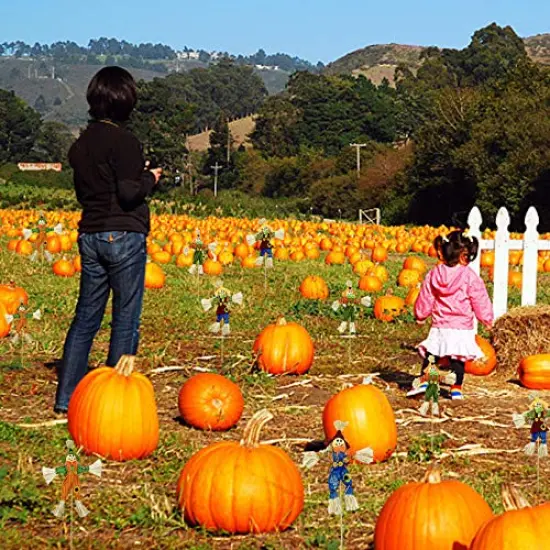EBaokuup 10 PCS Halloween Scarecrow Decoration - 11.8 Inch Fall Harvest Scarecrow Thanksgiving Scarecrow Fall Harvest Standing Scarecrow Decor for Autumn, Halloween, Garden, Yard Decoration {4}