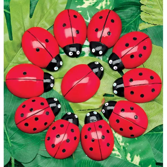 Ladybugs Counting Set, Pack of 22 {2}