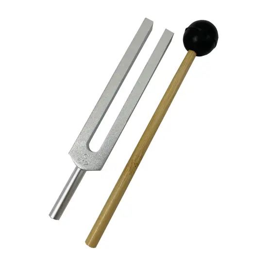 Tuning Fork and Striker {1}