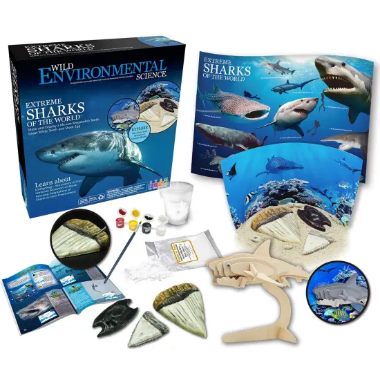Extreme Sharks of the World - For Ages 6+ - Create and Customize Models and Dioramas - Study the Most Extreme Animals {1}