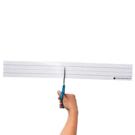 Large Magnetic Sentence Strips, 10 Pieces Per Pack, 2 Packs {6}