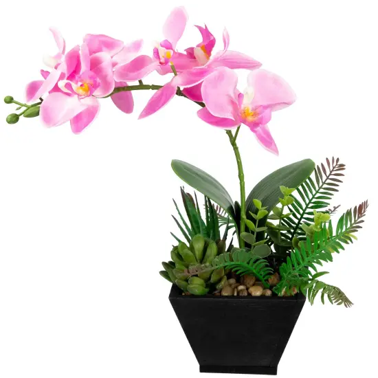 Northlight Artificial Orchid with Succulent Plants - 13" - Light Pink {4}