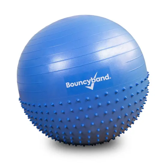 Inflatable Sensory Roller Ball for Kids {1}