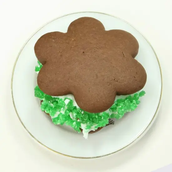 Ann Clark Scalloped Edge Flower Cookie Cutter {4}