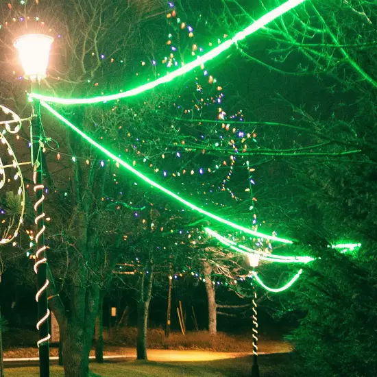 Northlight Flexible Incandescent Outdoor Christmas Rope Light - Green - 18' Clear Wire {4}