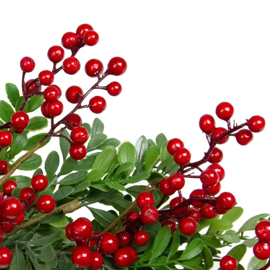 Northlight Red Berries and Two Tone Leaves Artificial Christmas Wreath - 20" -Unllit Green {5}