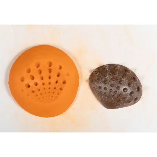 Tactile Shells - Eco-Friendly - 36 Pieces, 6 Textures, 3 Sizes - Ages 18m+ {4}