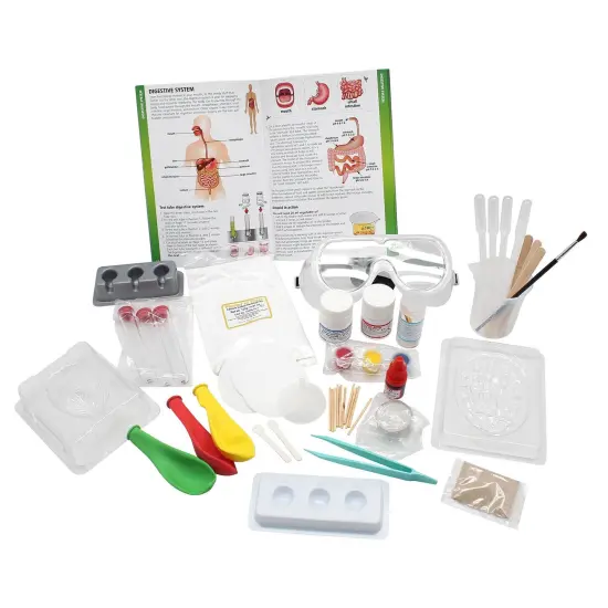 Medical Science - STEM Kit for Ages 8+ - Make a Test-Tube Digestive System, Extract DNA, Create Anatomical Models and More! {4}