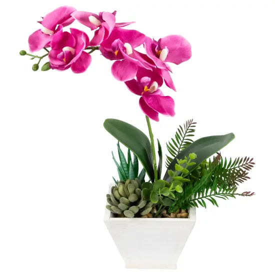 Northlight Artificial Orchid with Succulent Plants - 13" - Dark Pink {4}