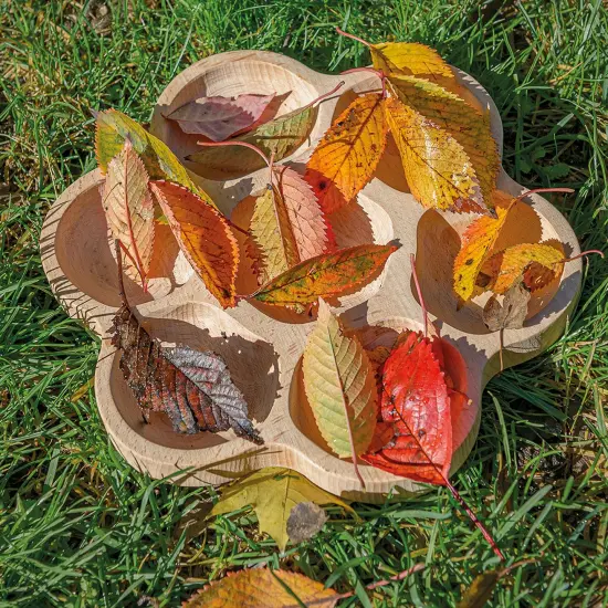 Natural Flower Tactile Tray, 6-Section {3}