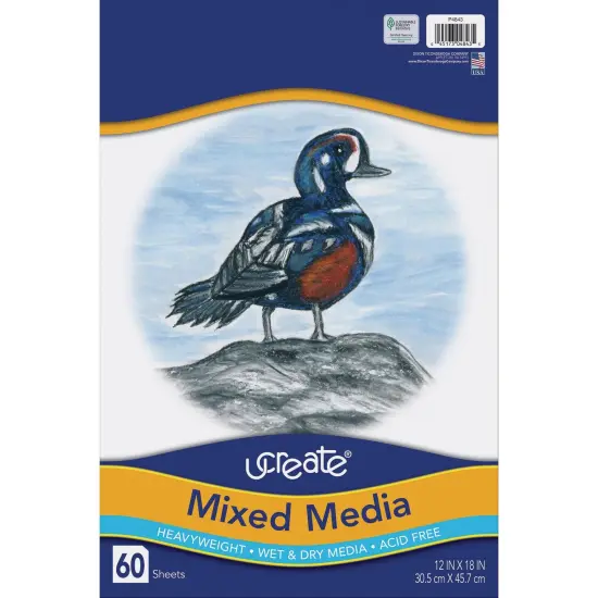 Mixed Media Art Paper, Heavyweight, 12" x 18", 60 Sheets Per Pack, 2 Packs {2}
