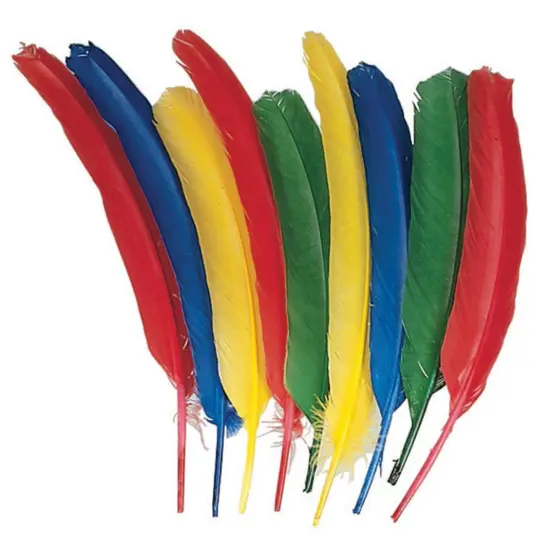 Quill Feathers, Assorted Colors, 12", 24 Per Pack, 3 Packs {3}