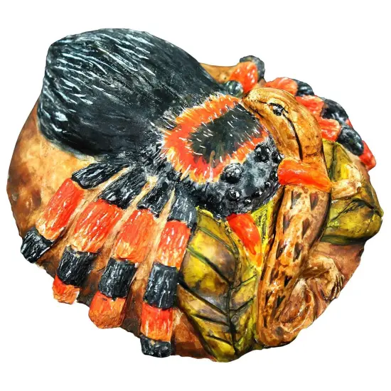 Extreme Spiders of the World - For Ages 6+ - Create and Customize Models and Dioramas - Study the Most Extreme Animals {6}