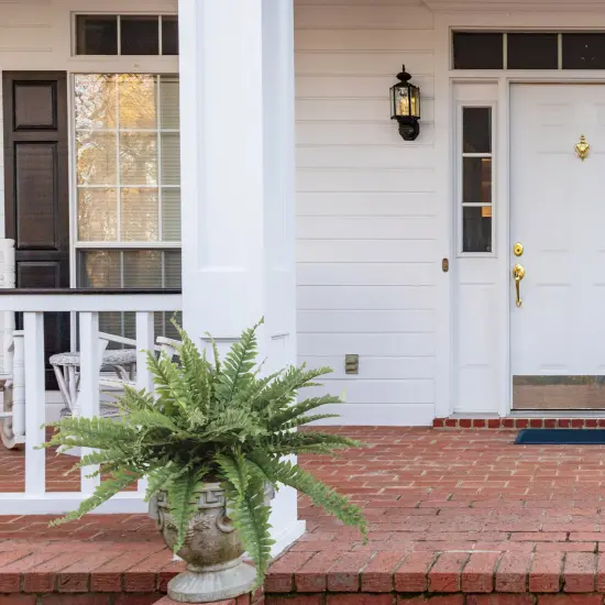 6-Pack: Boston Fern Plant with 35 Silk Fronds, 34" Wide, Floral Home by Artificial Flowers {5}