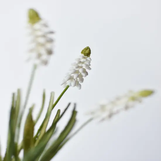 12.5" Faux White Muscari Bush Grape Hyacinth {1}