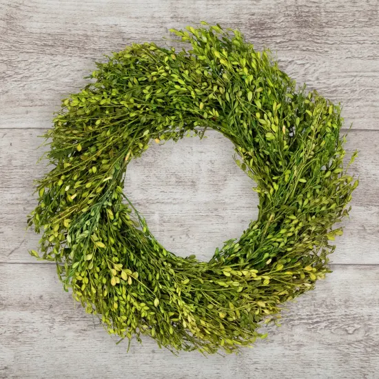 Northlight Green Foliage Artificial Spring Wreath - 20' - Unlit {3}
