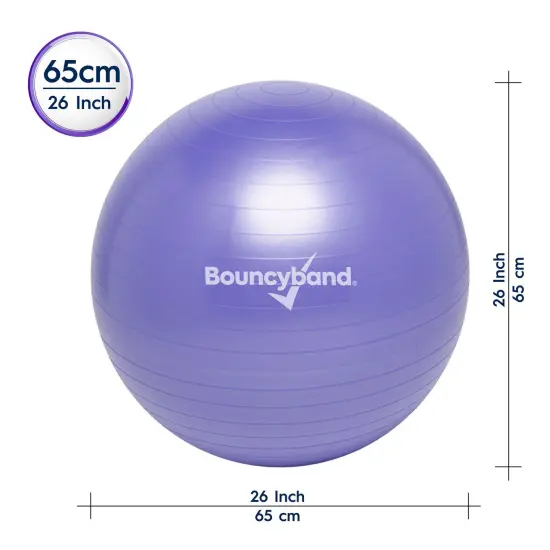Balance Ball, 65cm, Purple {4}