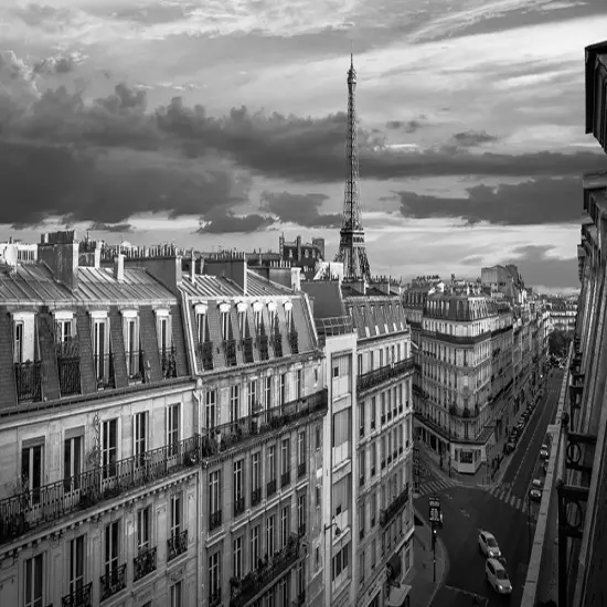 Morning in Paris (BW) Poster Print by Pangea Images Pangea Images - Item # VARPDX2AP4860 {1}