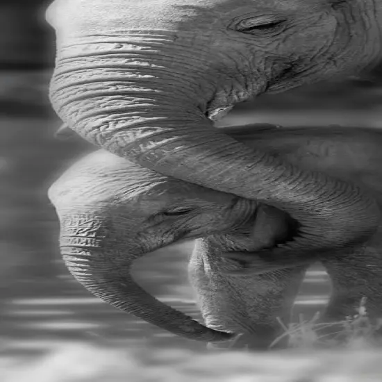 Morning Moment Poster Print by Michele Westmorland - Item # VARPDX40858 {1}