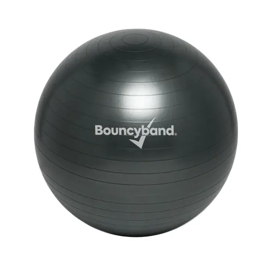 Balance Ball, 65cm, Dark Gray {4}