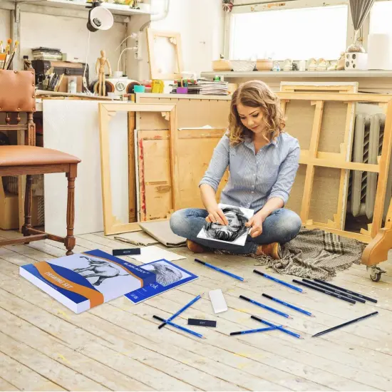 Drawing Kit with 2 Sketch Book, Sketching Pencils, Graphite Pencils, Charcoal Pencils, Art Kit for Artists Adults Teens Beginner Kid, Drawing Pencils for Sketching {4}