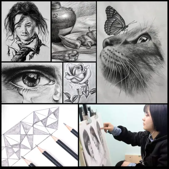 29 Pieces Drawing Pencils Sketch Pencil Art Supplies Set for Kids Adults beginners Professional Sketching Art Graphite Charcoal Blending Stump Pencils kit {5}