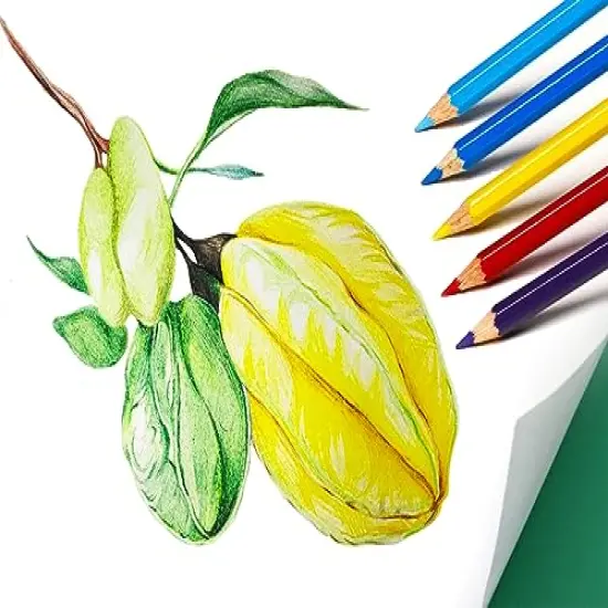 50 Pieces Colored Pencils,50 Vibrant Colors, Drawing Pencils for Sketch, Arts, Coloring Books, Christmas Halloween Gifts {3}