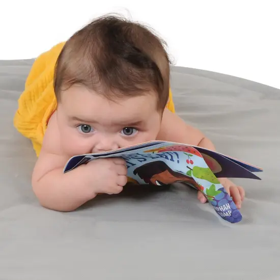 Workman Publishing Company Indestructibles Basic Words Picture Books - Set of 6 {4}