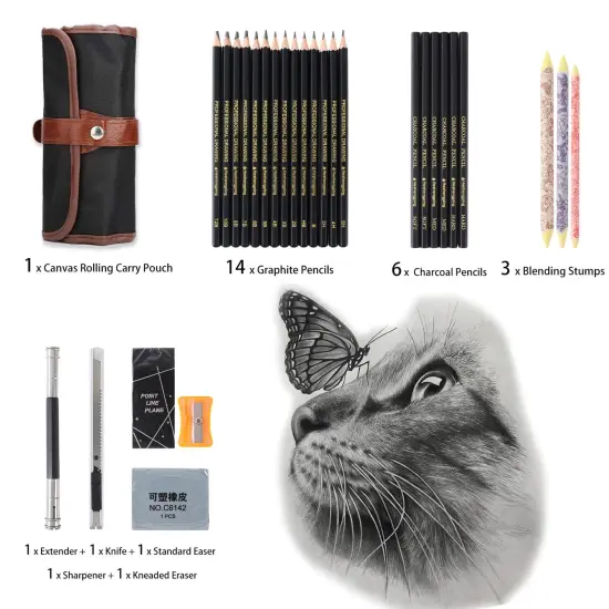 29 Pieces Drawing Pencils Sketch Pencil Art Supplies Set for Kids Adults beginners Professional Sketching Art Graphite Charcoal Blending Stump Pencils kit {1}