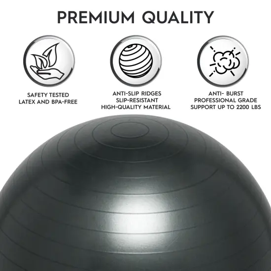 Balance Ball, 65cm, Dark Gray {6}