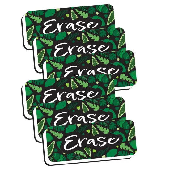Magnetic Whiteboard Eraser, Greenery with Erase, 2" x 5", Pack of 6 {1}