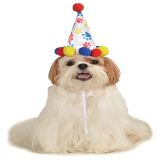 Red Blue Birthday Boy Paw Prints Clown Hat For Pet Dog {1}