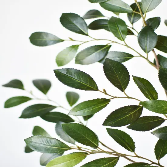 26" Faux Ruscus Leaf Stem {5}