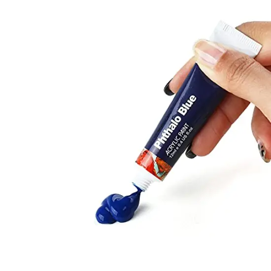 Acrylic Paint Set 12-Color with 3 Paint Brushes for Craft Canvas Rock Art Painting {4}