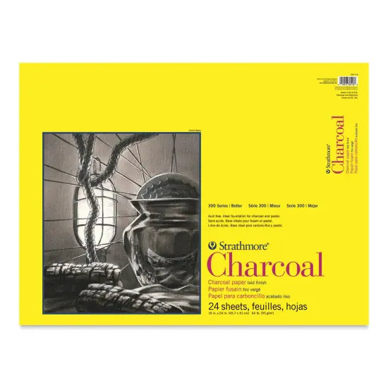 Strathmore 300 Series Charcoal Pad - 18" x 24", Glue Bound, 24 sheets, 64 lb (95 gsm) {1}