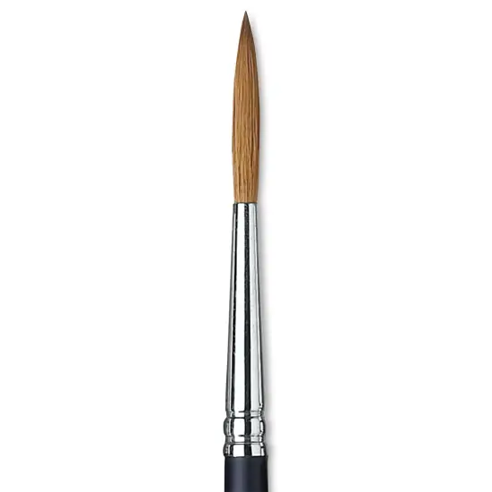 Winsor & Newton Artists' Kolinsky Sable Watercolor Brush - Rigger, Short Handle, Size 5 {1}