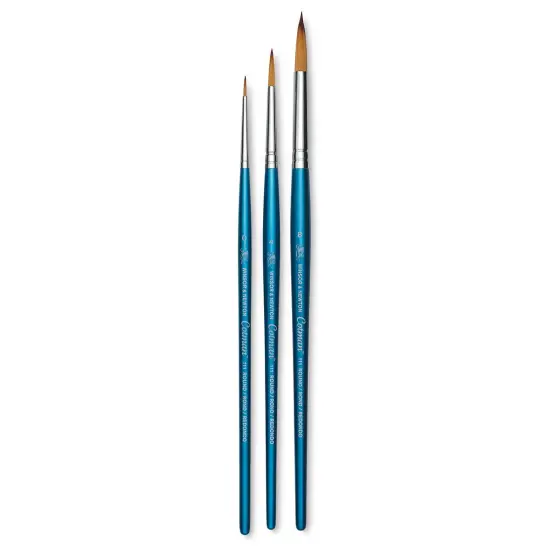 Winsor & Newton Cotman Watercolor Brush Set - Set 2, Set of 3, Short Handle {1}